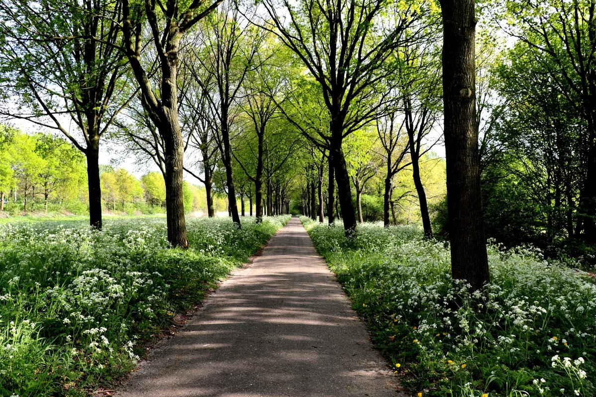Voorjaar in Veenendaal